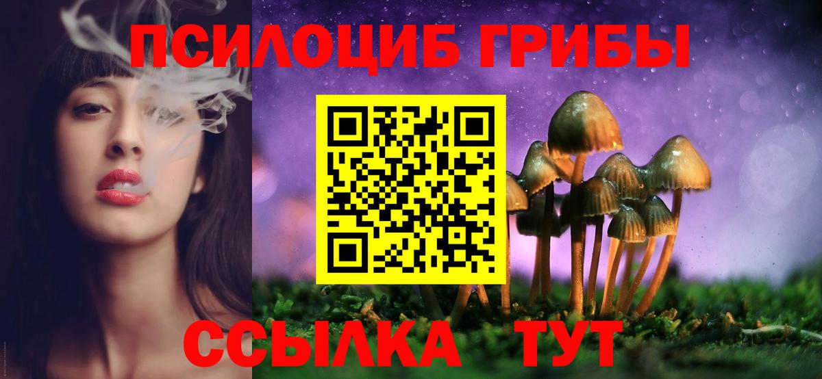 Солнечногорск  Псилоцибиновые грибы прущие грибы  Галлюциногенные грибы GOLDEN TEACHER  Вход с VPN 