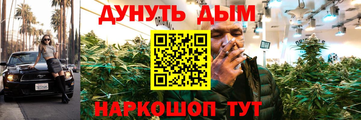 Шишки марихуана OG Kush Солнечногорск